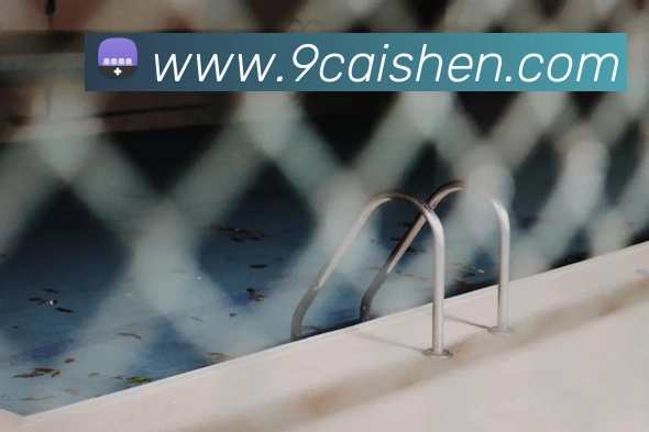 App Interface Preview